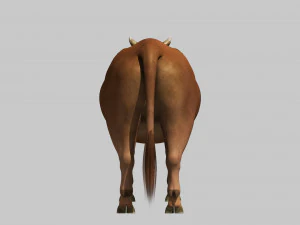 Cattle bull cow buffalo 3D Model