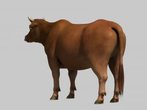 Cattle bull cow buffalo 3D Model