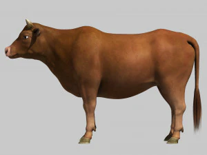 Cattle bull cow buffalo 3D Model