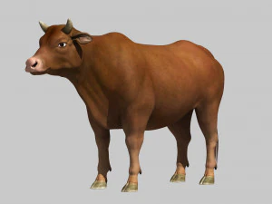 Cattle bull cow buffalo 3D Model