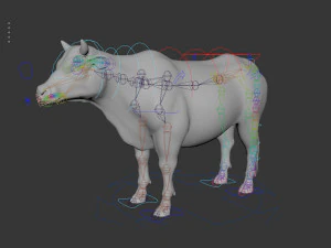 Cattle bull cow buffalo 3D Model