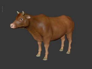 Cattle bull cow buffalo 3D Model