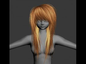 hair 3D Model