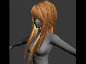hair 3D Model