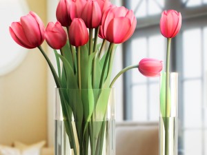 bouquet tulips 3in1 Modelo 3D