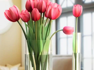 bouquet tulips 3in1 3D Model
