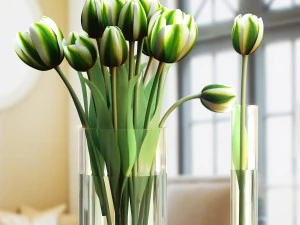 bouquet tulips 3in1 3D Model
