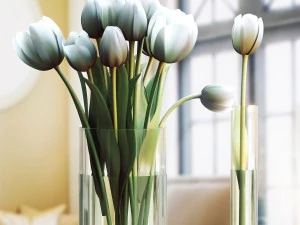 bouquet tulips 3in1 3D Model