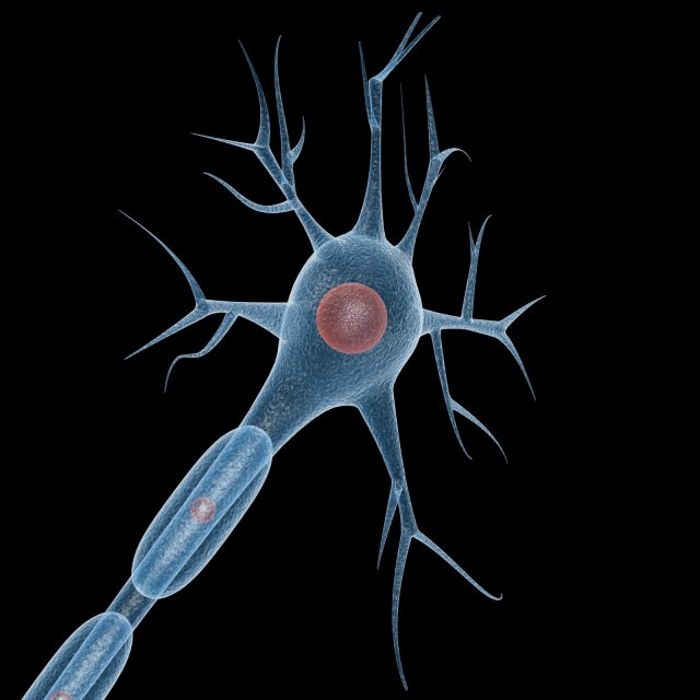 neuron Modelo 3D .c4d .max .obj .3ds .fbx .stl .blend 