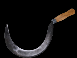 grass sickle Modelo 3D
