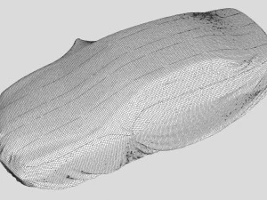 car body cover 3D Model