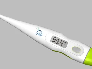 term&ocirc;metro digital Modelo 3D
