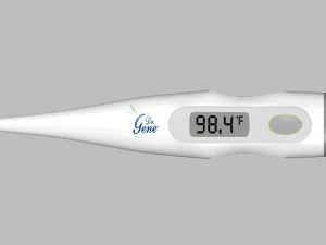 term&ocirc;metro digital Modelo 3D