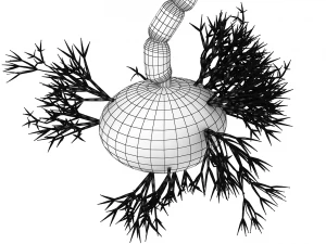 nerve cells neuron 3D Model