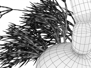 nerve cells neuron Model 3D