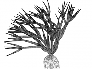 nerve cells neuron Model 3D