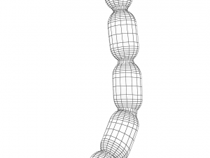 nerve cells neuron Model 3D