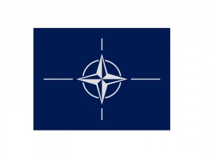 nato flag 3D Model