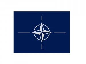 NATO-Flagge 3D Modell
