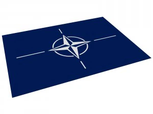 nato flag 3D Model