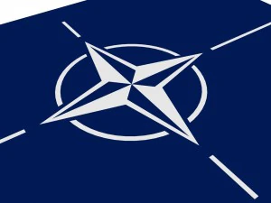 nato flag 3D Model
