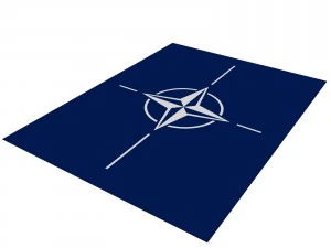 nato flag 3D Model