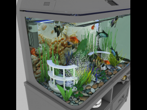 aquarium 1 3D Модель
