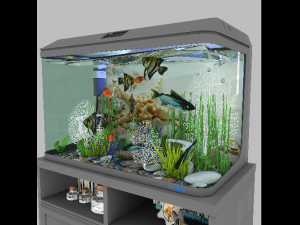 aquarium 1 3D Модель