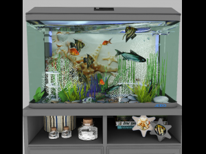 aquarium 1 3D Модель