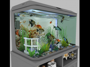 aquarium 1 3D Модель