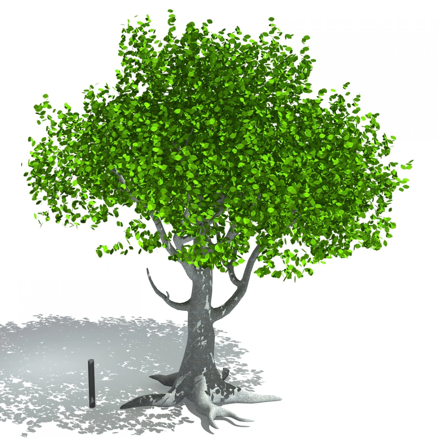 arbre Modèle 3D .c4d .max .obj .3ds .fbx .stl .blend 