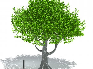 tree Model 3D
