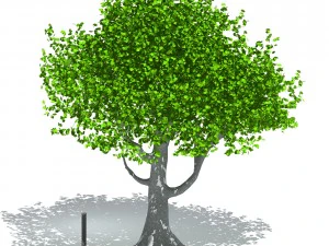 arbre Modèle 3D