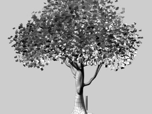 tree Model 3D