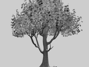 arbre Modèle 3D