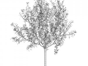 tree 04 3D Model