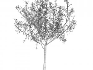 tree 04 3D Model