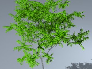 tree 05 3D-Modell