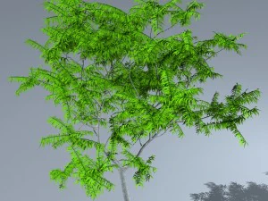 tree 05 3D Model
