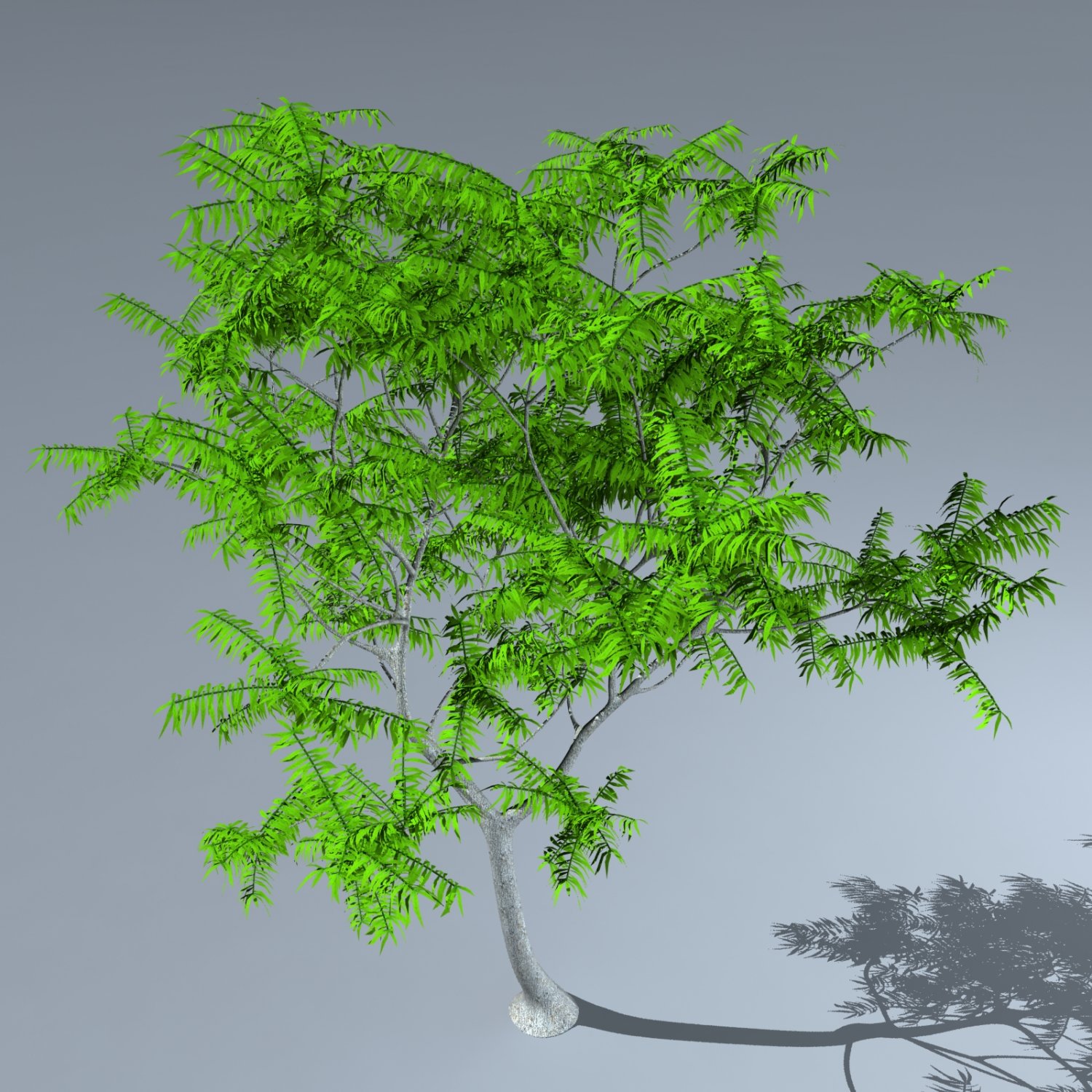 Дерево в 3d max bitmap. Модельные деревья. Фруктовое дерево 3d. Дерево для 3д макс. Auhagen деревья.