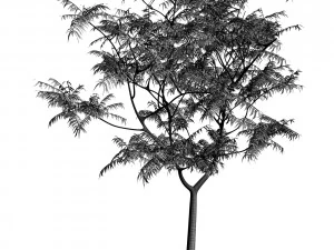 tree 05 3D Model