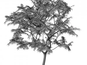 tree 05 3D Model