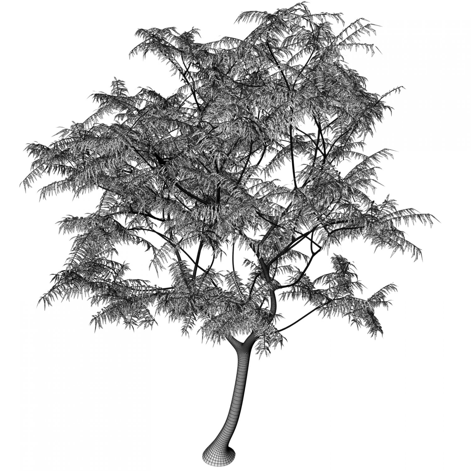 Tree studios. Tree studio. tree supply a book. tree supply for book.