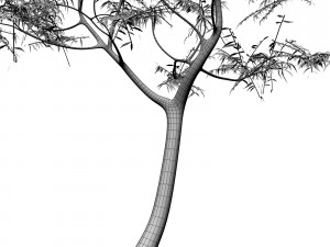 tree 05 3D-Modell