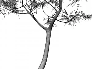 tree 05 3D Model