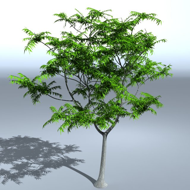 tree 05 3D-Modell .c4d .max .obj .3ds .fbx .stl .blend 