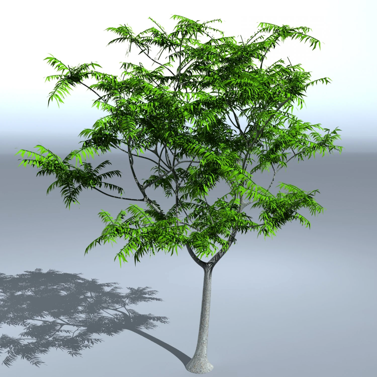 tree 05 3D Model .c4d .max .obj .3ds .fbx .stl .blend 
