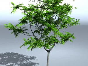 pohon 05 Model 3D