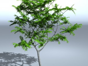 tree 05 3D-Modell