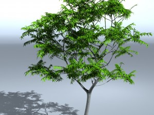 tree 05 3D-Modell